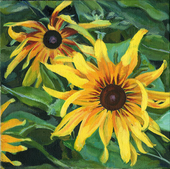 Black-Eyed Susans, oil on 8X8 canvas